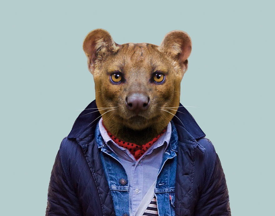 Fossa
