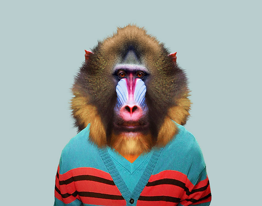 Mandrill