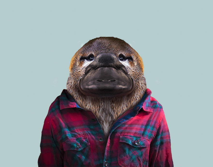 Platypus
