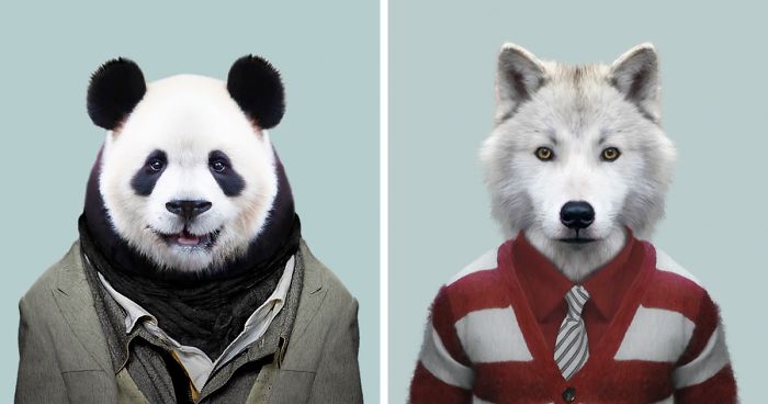 This Artist Spent 3 Years ‘Dressing’ Zoo Animals Like Humans And The Clothes Fit Unbelievably Well