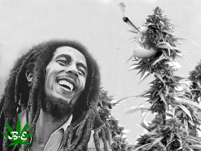 420! Bob With Caterpiller