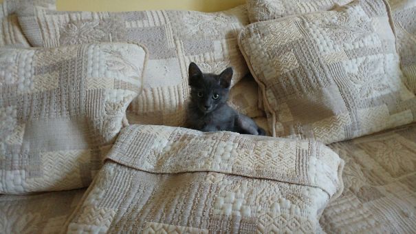 If You've Made Your Own Bed You Get To Sleep In It.