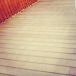 origenmecanico avatar