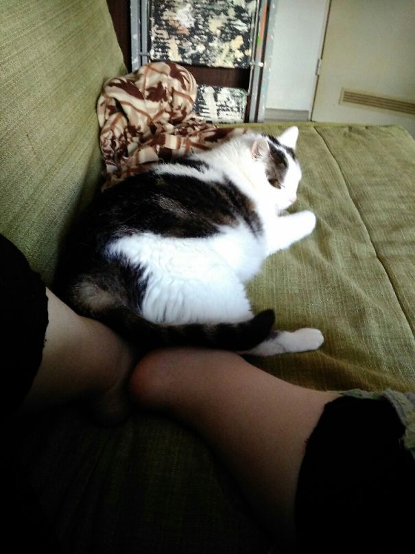 Welp. She Loves Feet