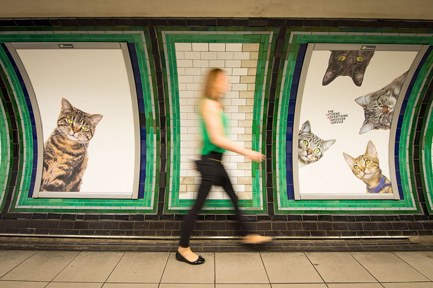 cat-ads-underground-subway-metro-london-11 cat-ads-underground-subway-metro-london-11