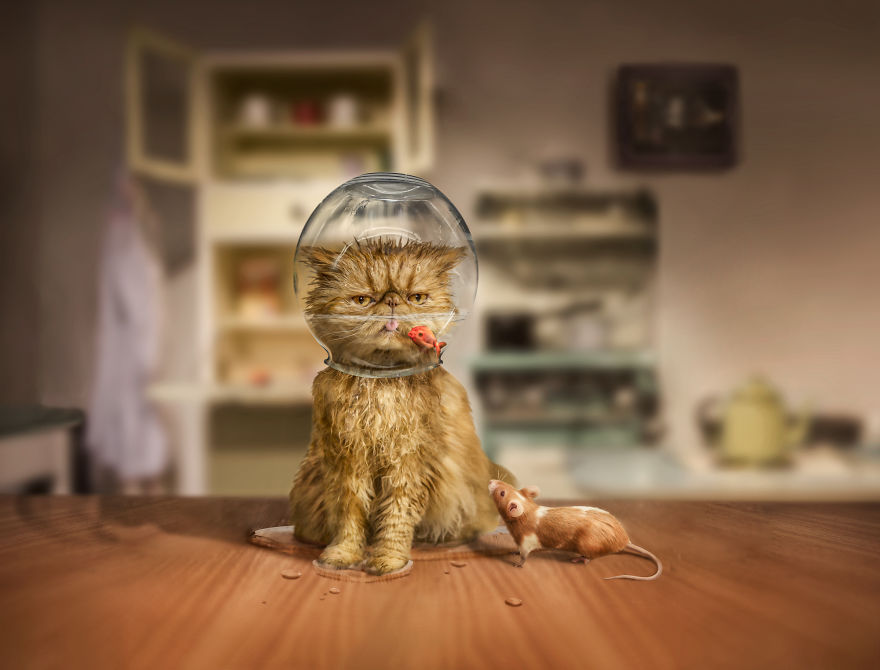 I Create Surreal Photos Of My Pets Using Photoshop (Part 2) I Create Surreal Photos Of My Pets Using Photoshop (Part 2)