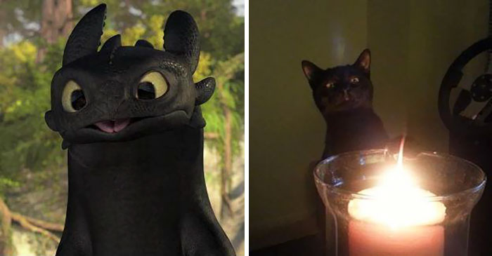 This Black Cat Looks Like Toothless