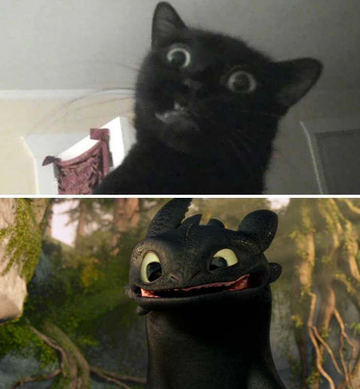 Toothless