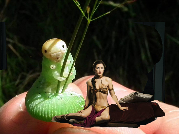 She Must Have A Thing For Larvaes...