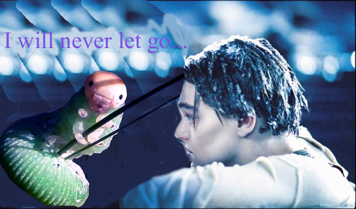 I Will Never Let Go...