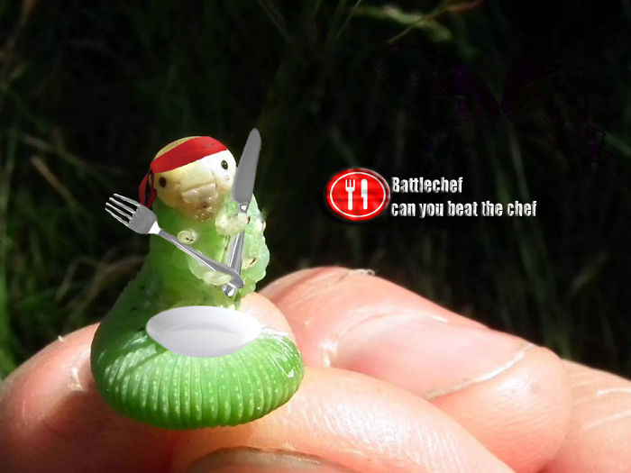 Face The Chef...! #chefcaterpiz