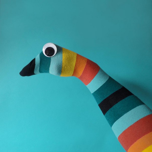 Creative Arrangements With Common Objects