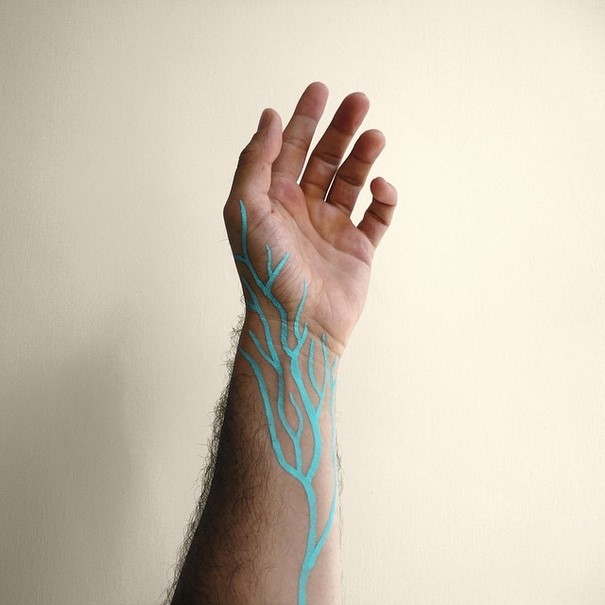 Creative Arrangements With Common Objects