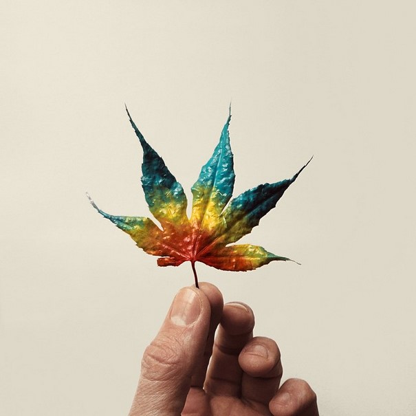 Creative Arrangements With Common Objects