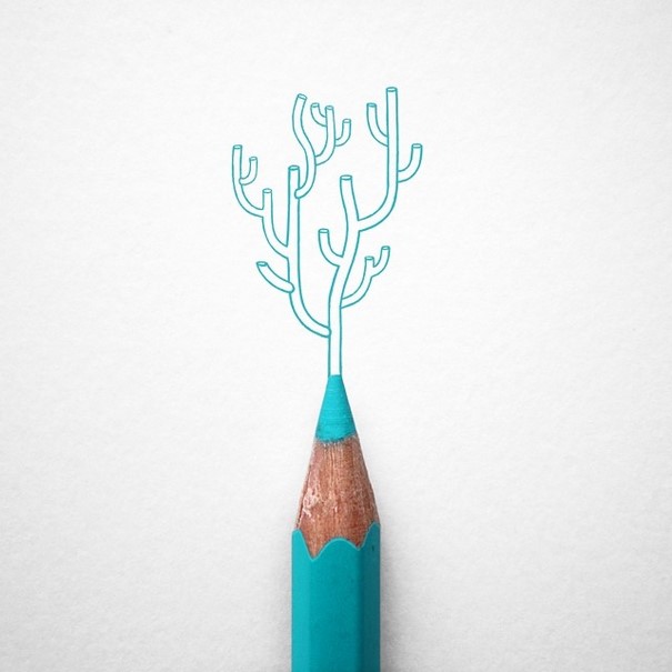 Creative Arrangements With Common Objects