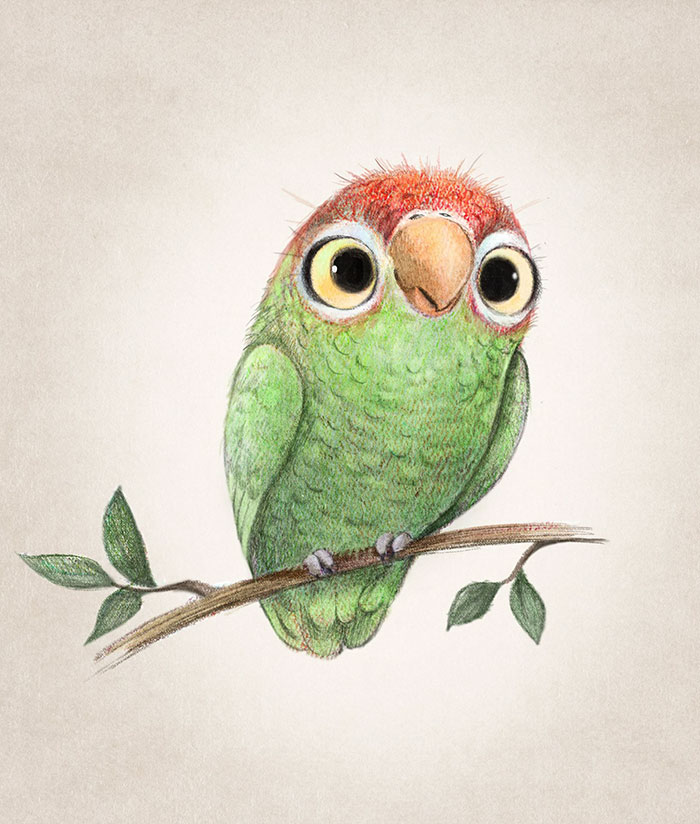 Cute Animal Illustration