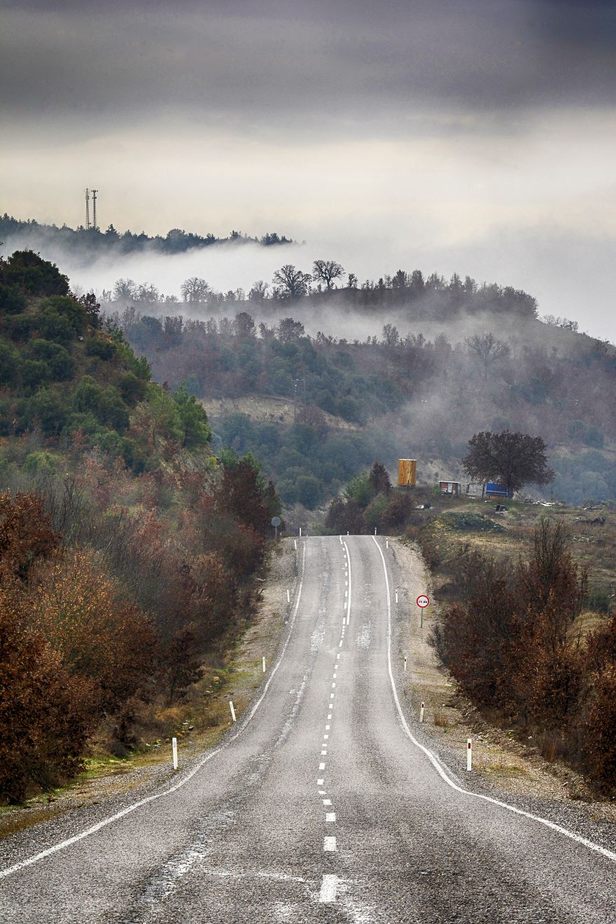 Take The Lead In The Rain