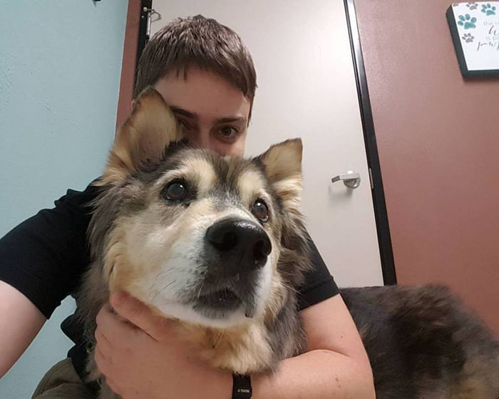 dying-dog-snow-machine-texas-12