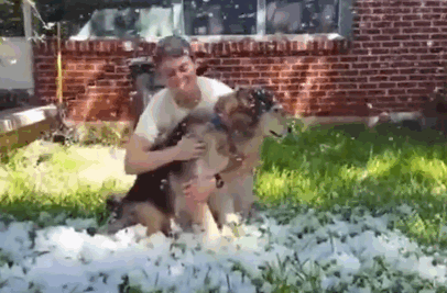 dying-dog-snow-machine-texas-13 dying-dog-snow-machine-texas-13