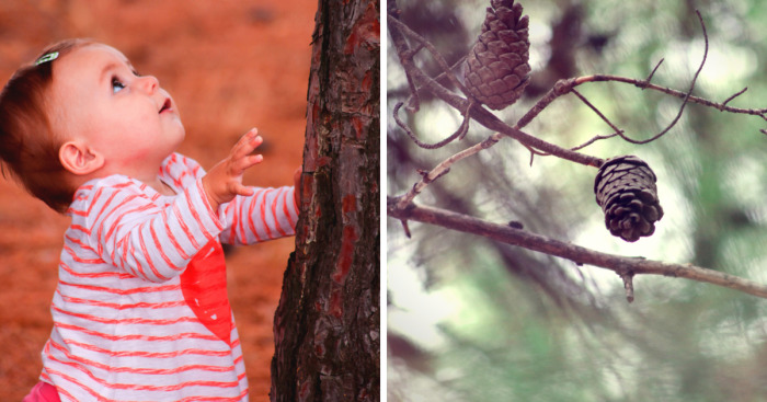 Magic Autumn In The Nature