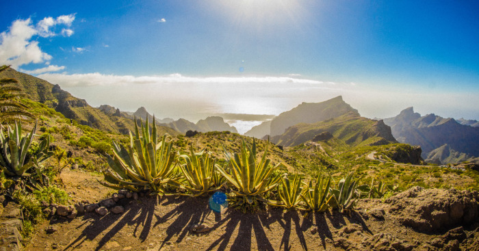 I Went On A 3-Month-Long Solo Adventure In Tenerife
