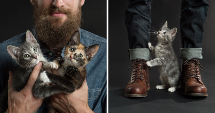 These 14 Felines And Fellas Posed For A Fundraising Calendar