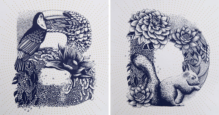I Created A Complete Alphabet Inspired By Flora And Fauna