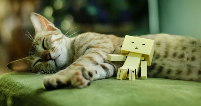 I Make Light-hearted Photographs Using Tiny Toys