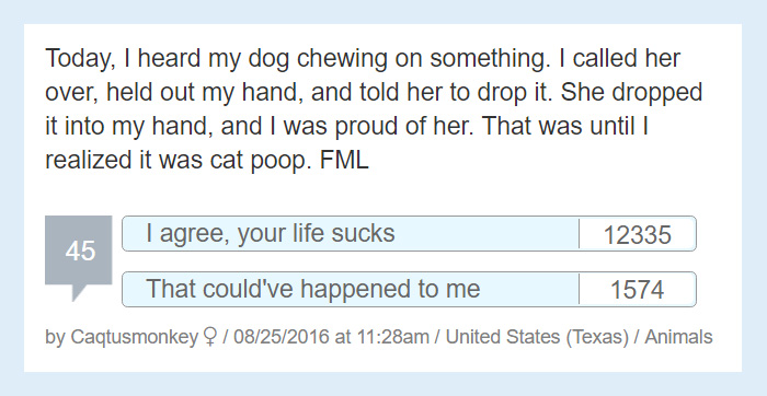 Worst Story Of My Life