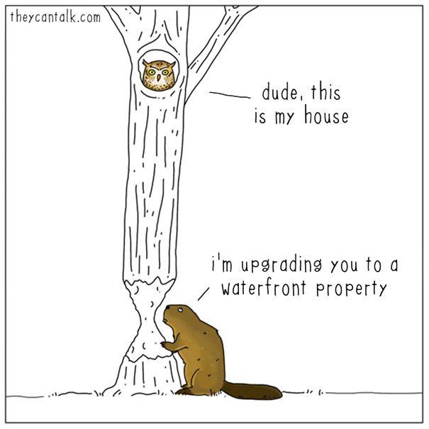 Funny Animal Comics