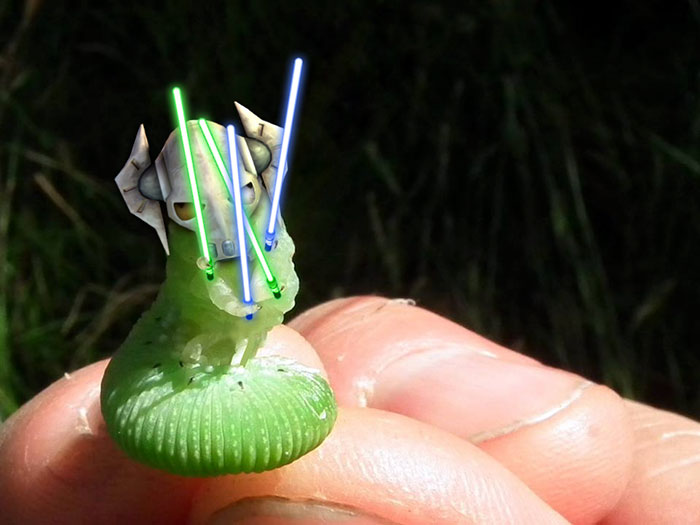 Not Nearly As Intimidating At This Size