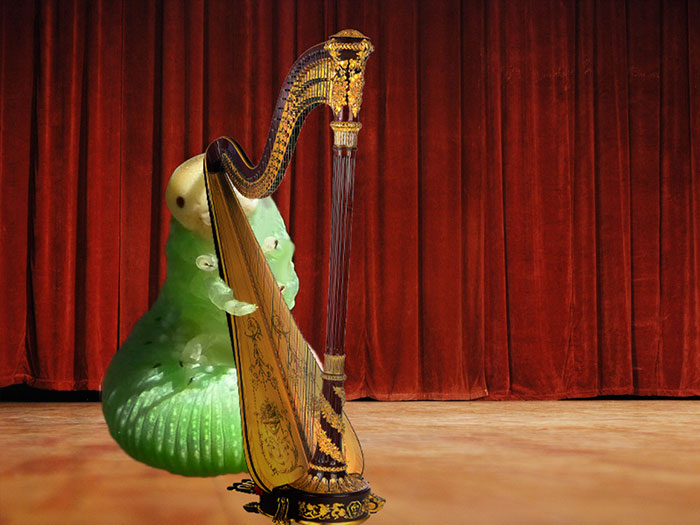 It Sure Is Not Playing The World's Smallest Violin, But Close Enough