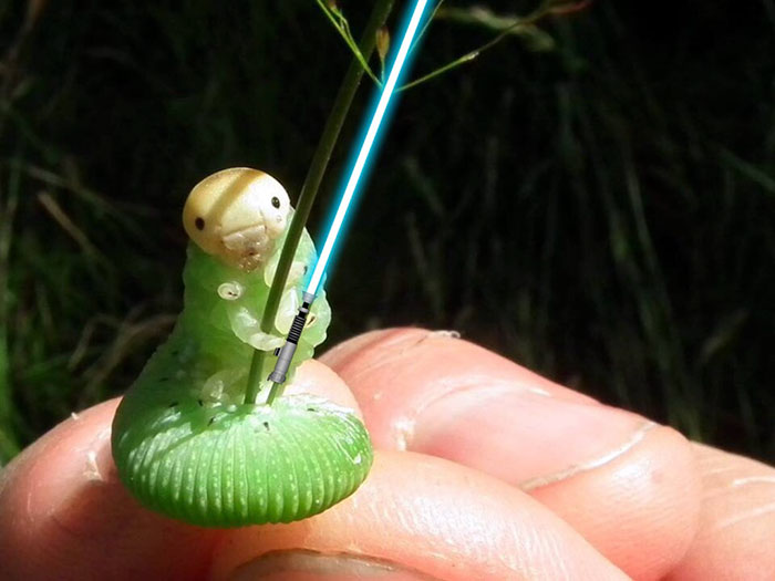 Simple But You Get The Point