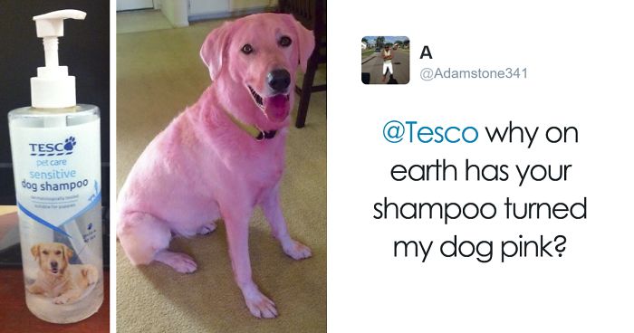 42 Hilarious Customer Complaints And Responses That’ll Make You Laugh