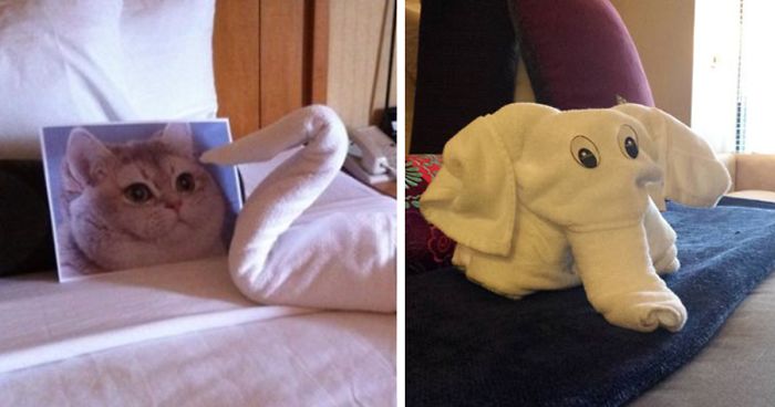 These Guys Trolled Hotel Staff With Ridiculous Room Requests, And Hotels Delivered