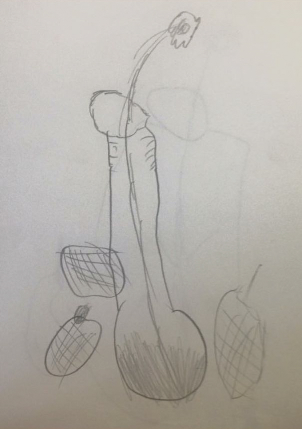 Drawing Vases With Flowers In Art Class