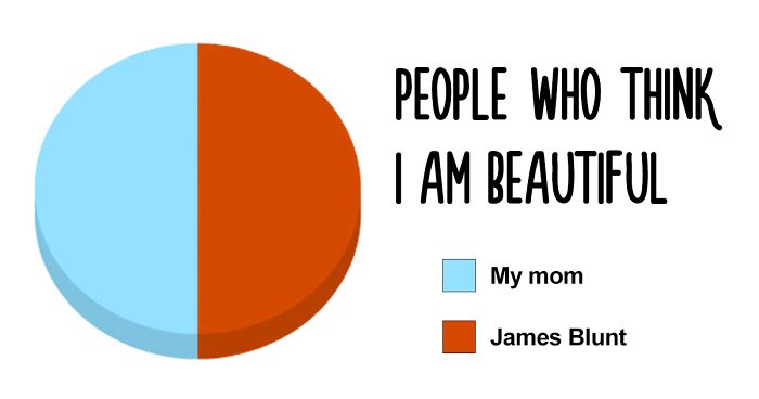38 Hilarious Pie Charts That Are Absolutely True