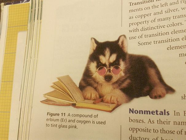 Was In My Chemistry Textbook, And I Found It Amusing