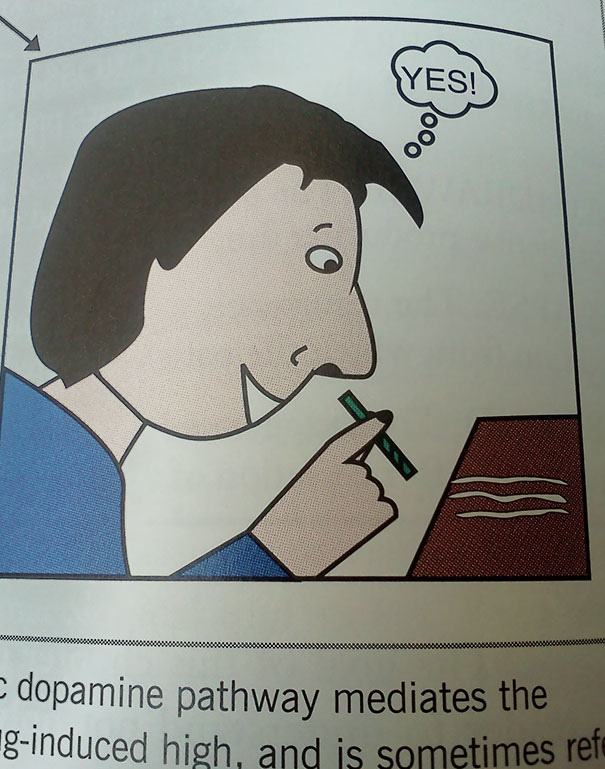 My Textbook Is Fun