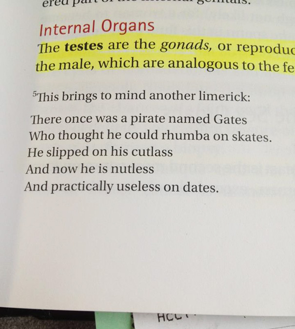This Is From A College Human Sexuality Textbook