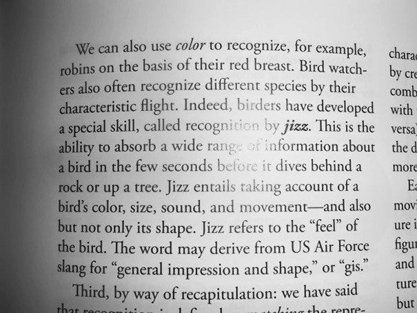 Easy Way To Recognize Birds