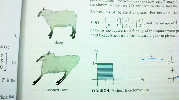 Well Played, Math Textbook