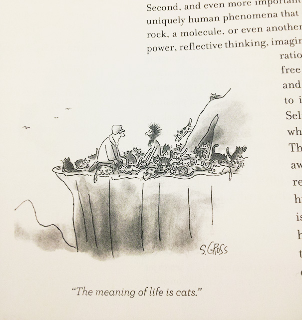 My Psych Textbook Speaks The Truth