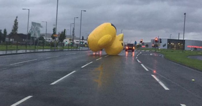 Giant Inflatable Duck Apocalypse Has Begun In Scotland (VIDEO)