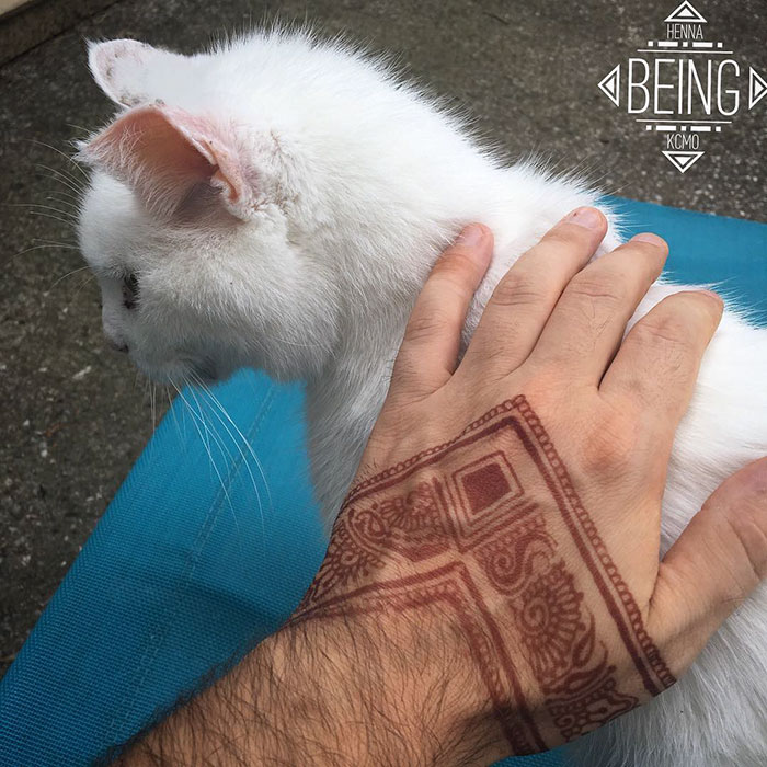 Hand with intricate henna tattoo petting a white cat, showcasing the 'Menna' trend.