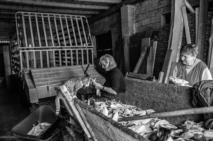 I Followed My 83-Year-Old Grandma Around Her Farm For One Day