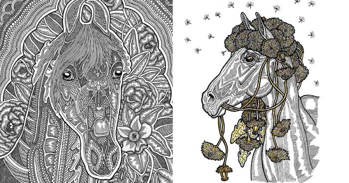 I Create Higly Detailed Drawings Of Horses