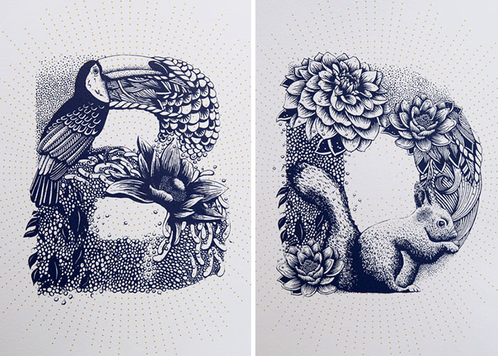 I Created A Complete Alphabet Inspired By Flora And Fauna
