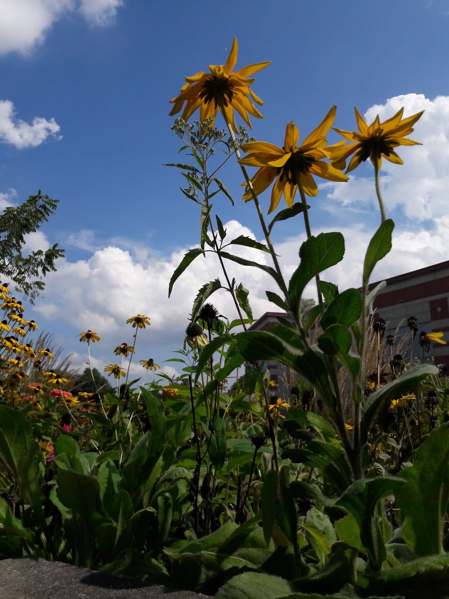 I Walk Every Weekend In My City's Downtown To Enjoy The Weather And Snap A Couple Pics Or Two