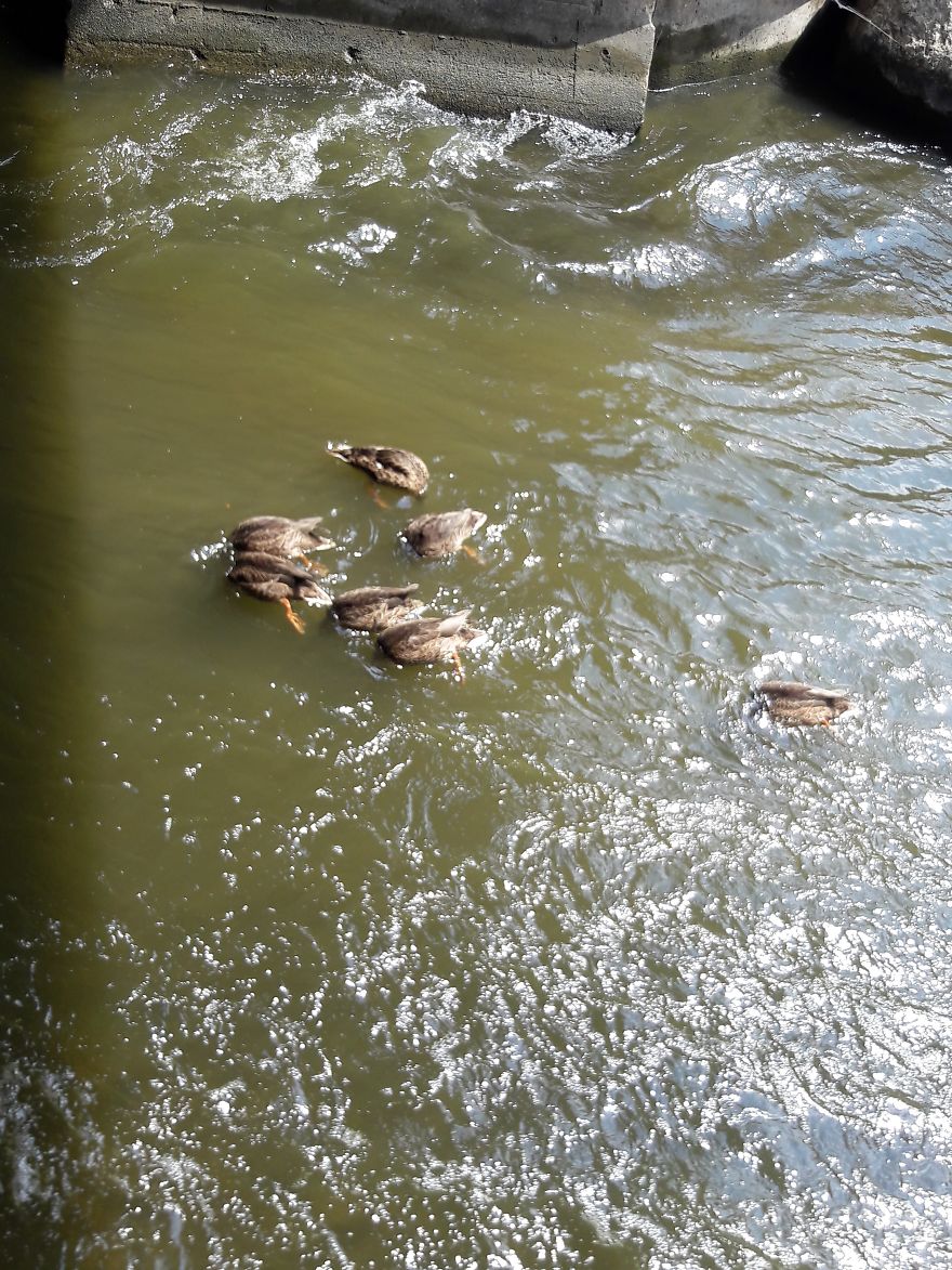 I Walk Every Weekend In My City's Downtown To Enjoy The Weather And Snap A Couple Pics Or Two